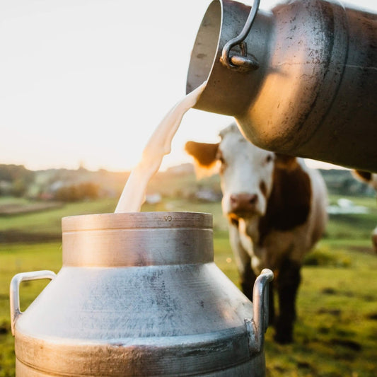 Raw Milk (No Bovaer or nasty chemicals)